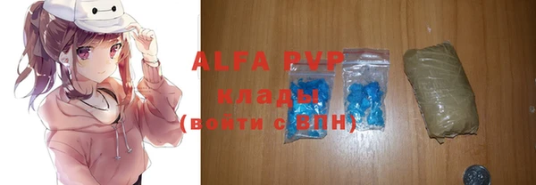 PSILOCYBIN Богородск