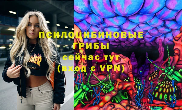 прущие грибы Богородицк