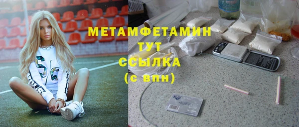 прущие грибы Богородицк