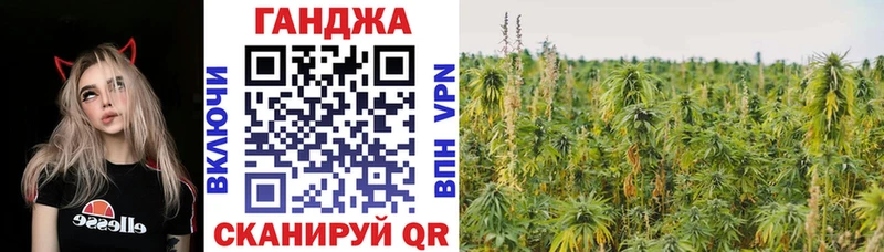 Бошки Шишки SATIVA & INDICA где можно купить наркотик Кирс